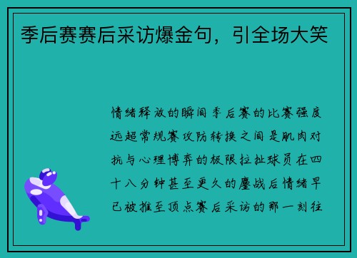 季后赛赛后采访爆金句，引全场大笑
